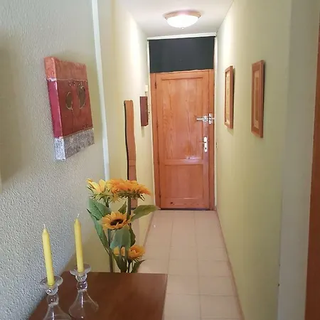 El Halcon Apart شقة